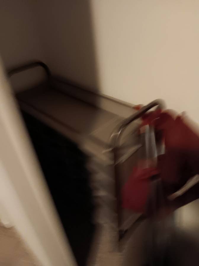 Mary's room