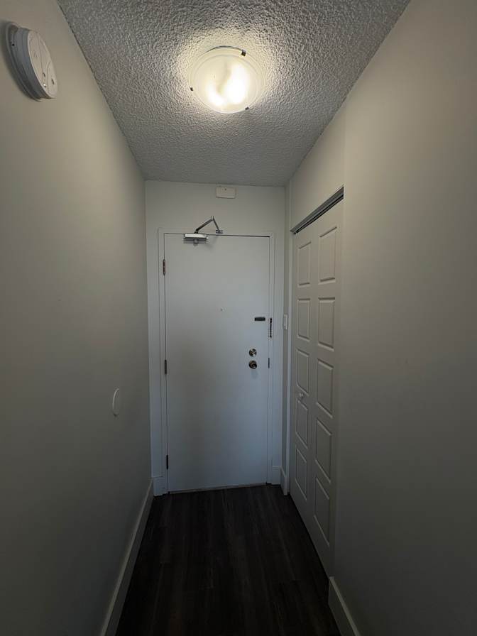 Erin's room