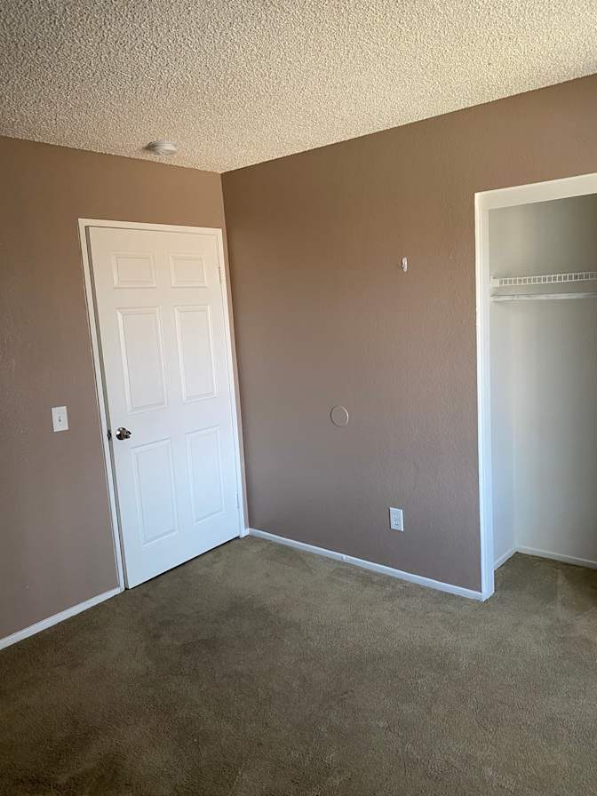 Luz's room