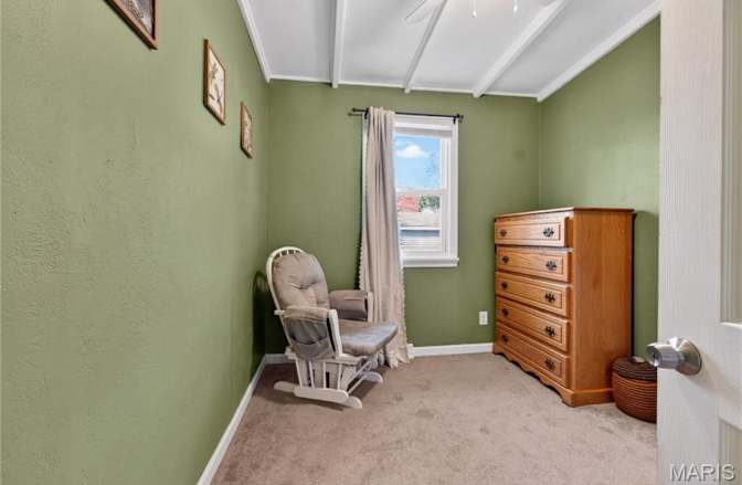 Brayden's room