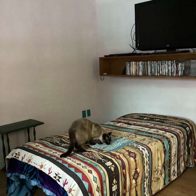 Irene's room
