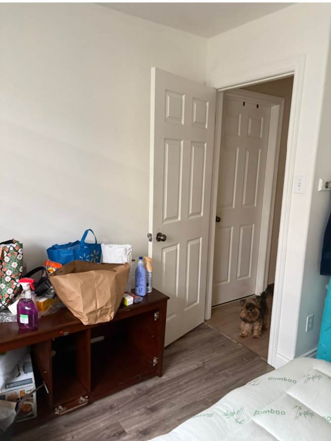 Andrea's room