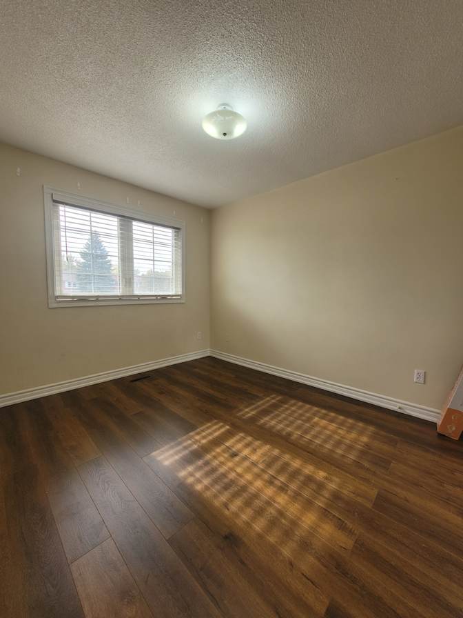 Daniel's room