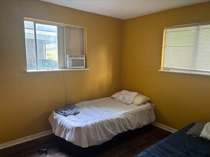 Daniela Hillis's room