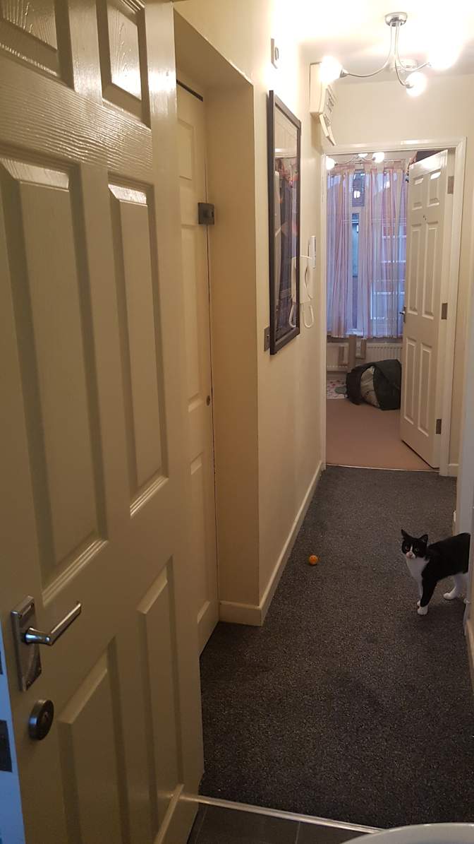 Mark's room