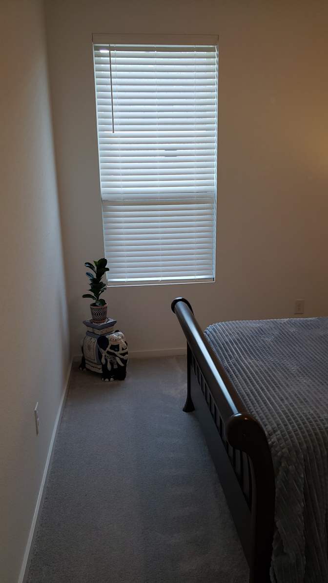 Meguel's room