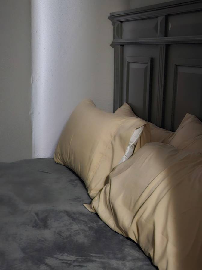 Ann's room