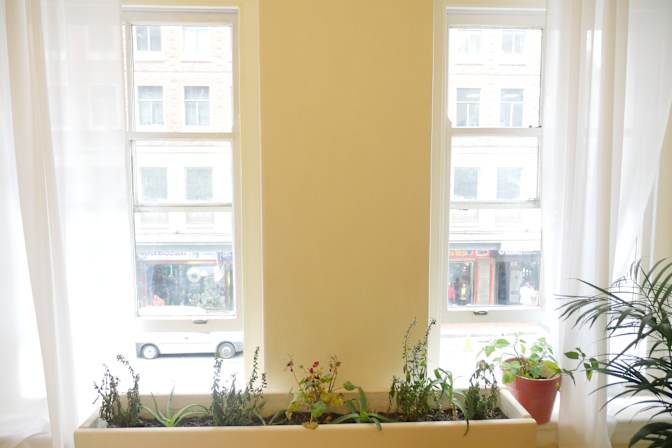 Luxurious Management Solutions's room