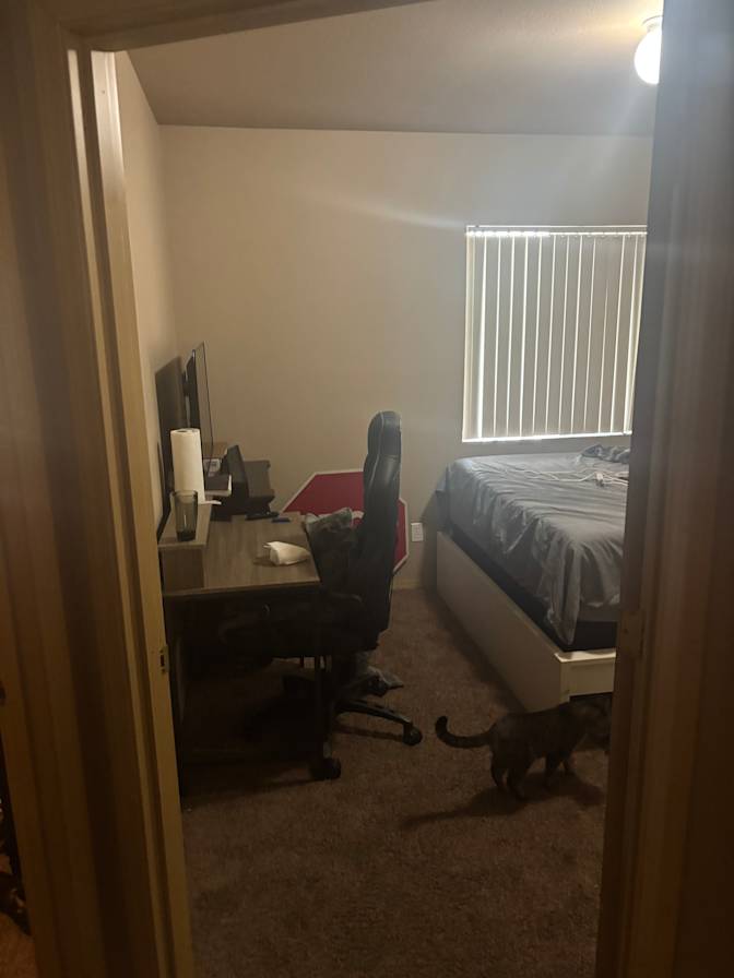 Katy's room