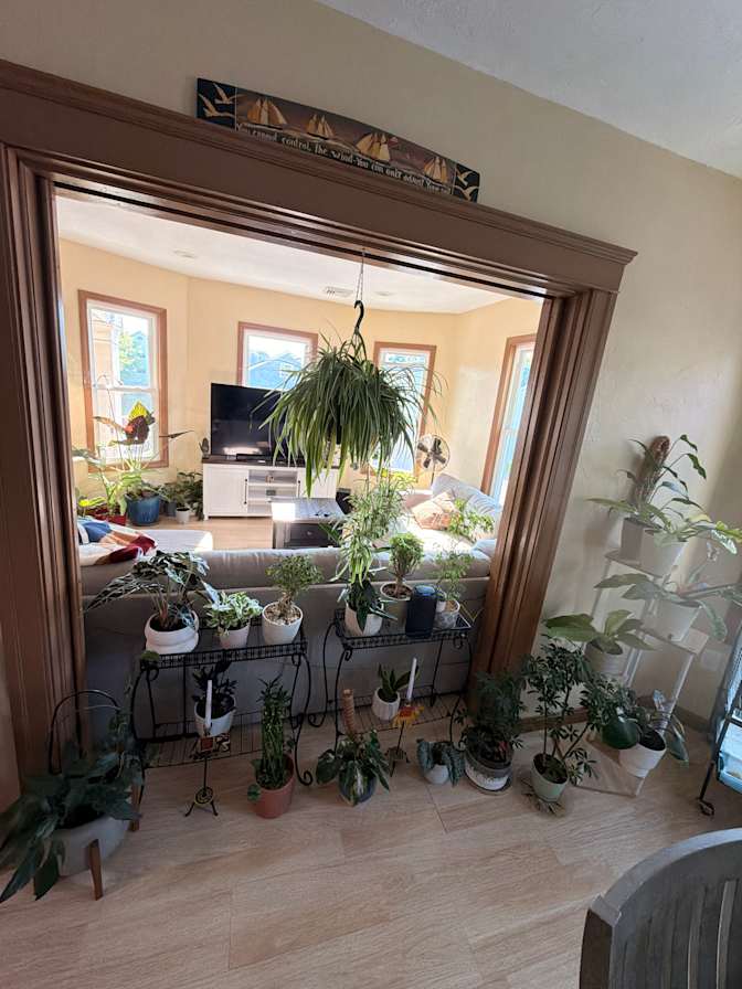 Alex's room