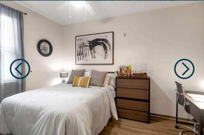 Cozy Living Space's room