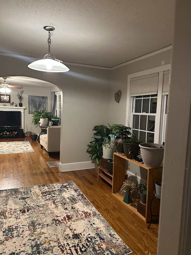 Carol Fennerty's room