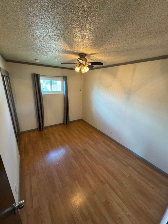 Shawn's room