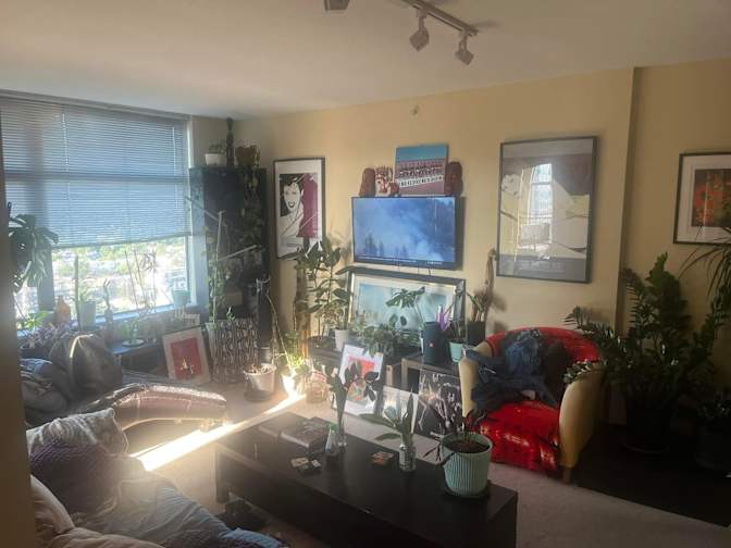 Richard Romano Carlsen's room