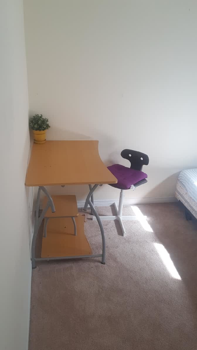 Shaheen's room