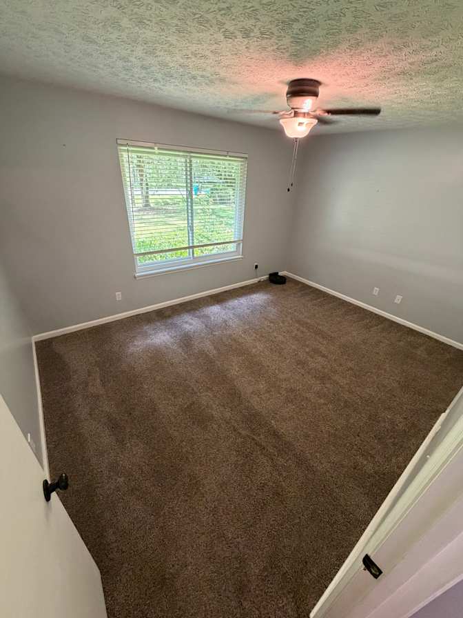 Shane's room
