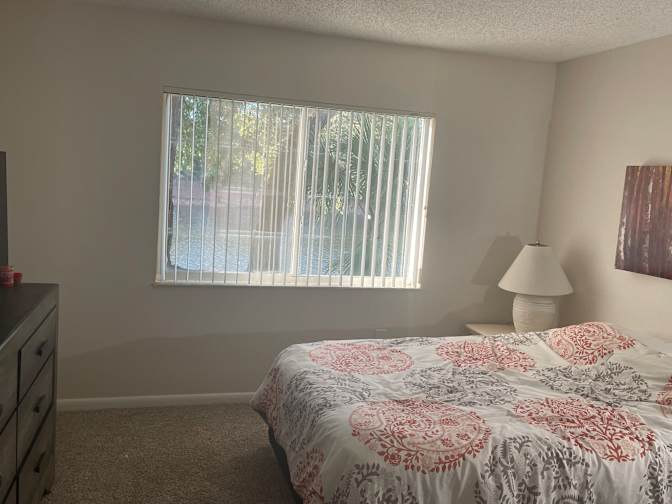 Dave's room