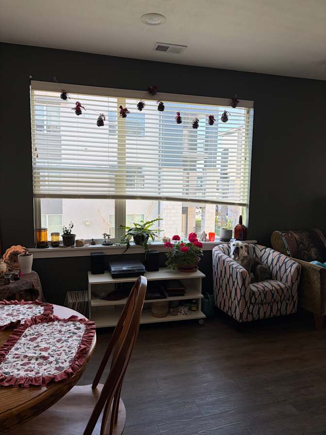 Alex's room