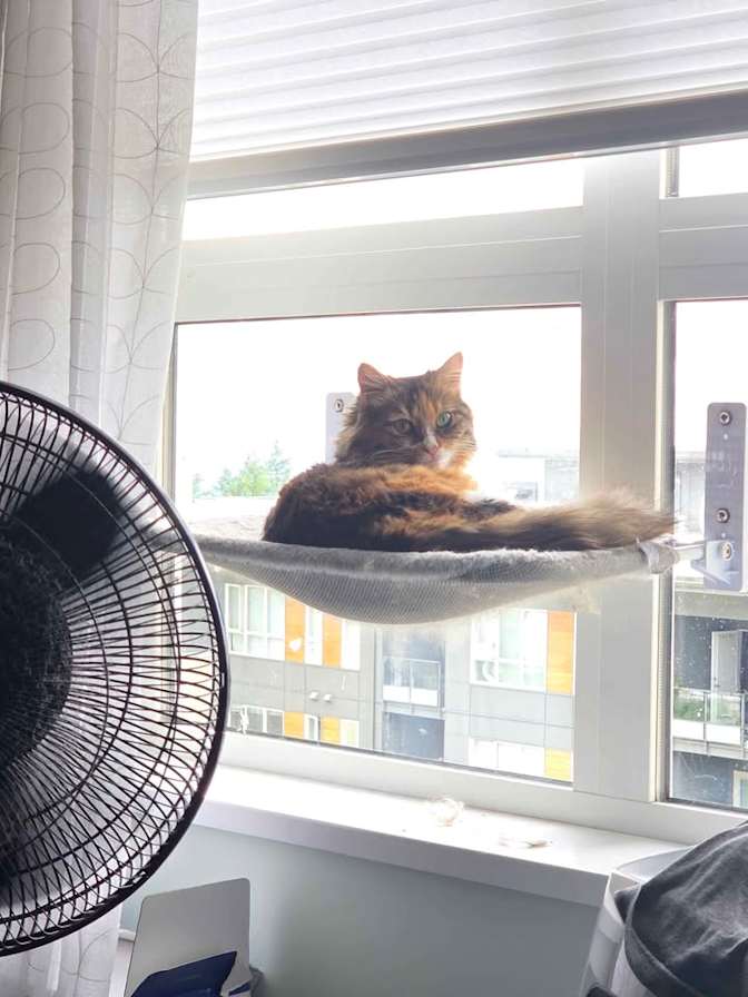 Sarah's room
