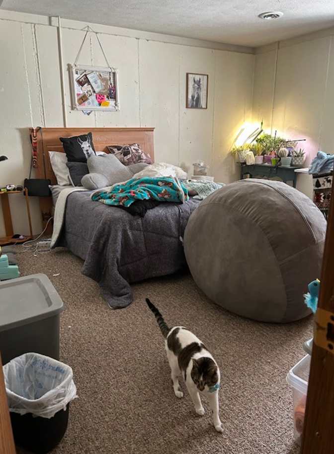 Sophia Sutton's room