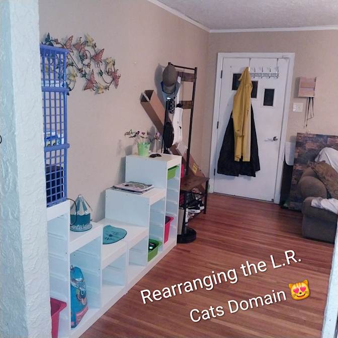Tanya's room