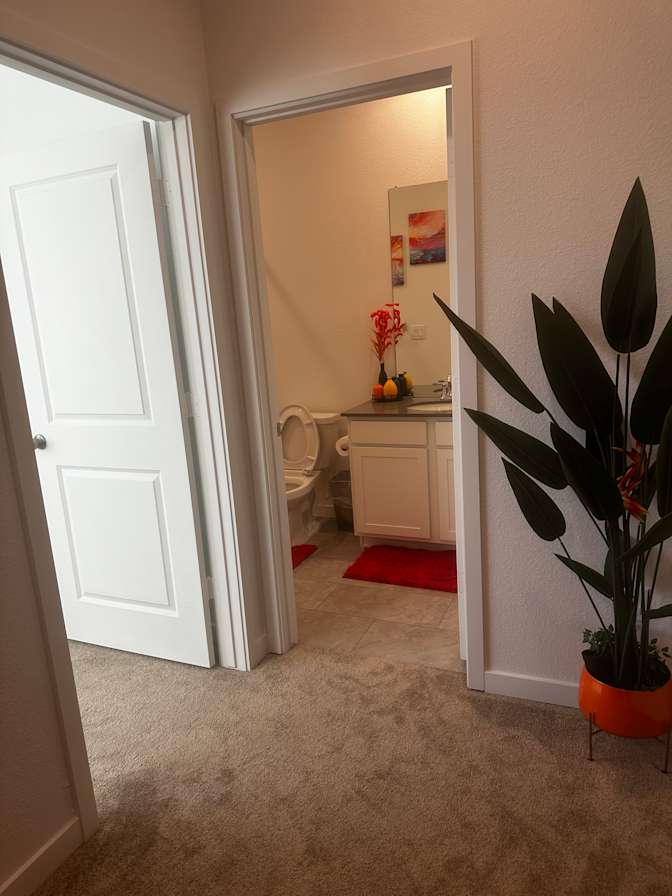 Paulina's room