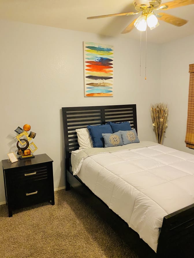 Chatney Dawson's room