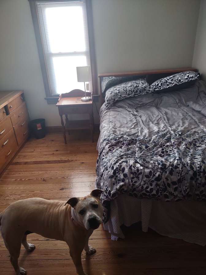 joel's room