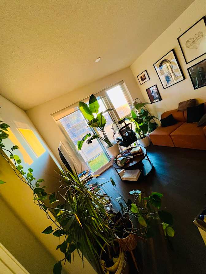 Nicoy Davis's room