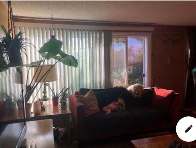 Danielle's room
