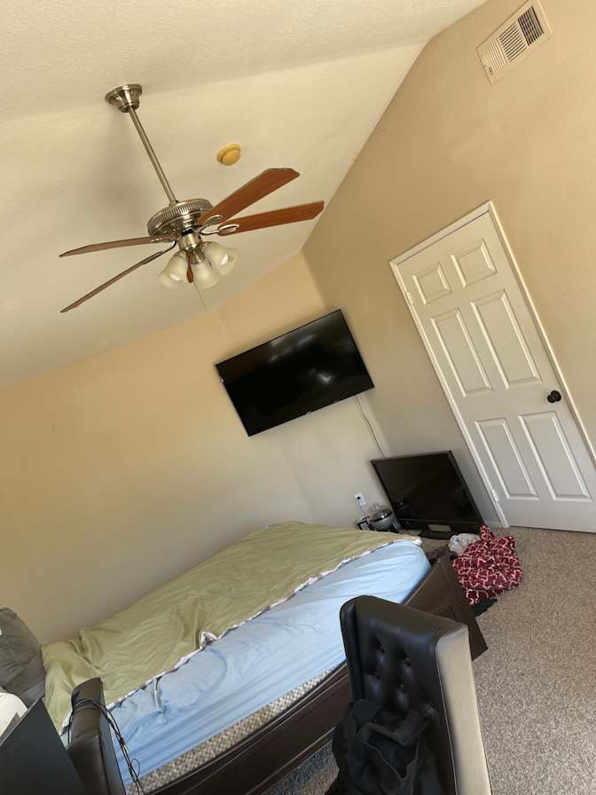 spaintal's room
