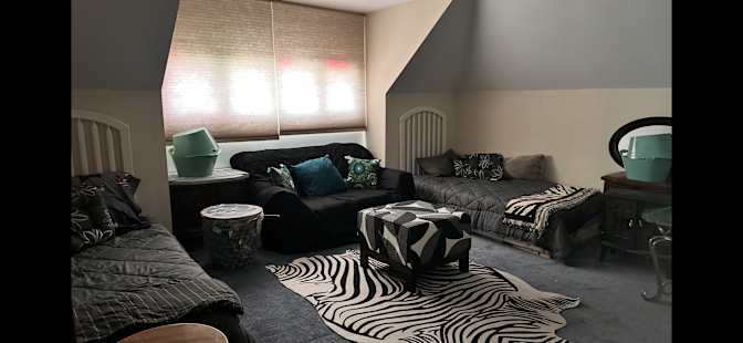 Corey's room