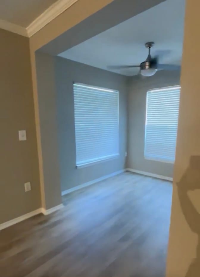 Jasmine's room