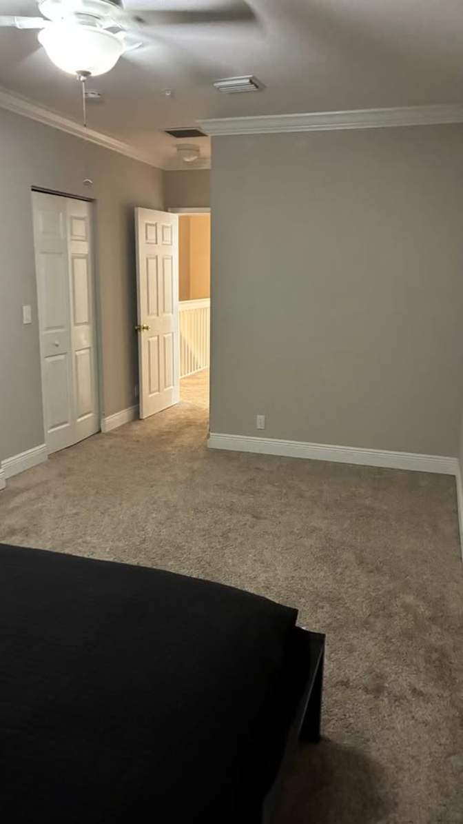 N's room