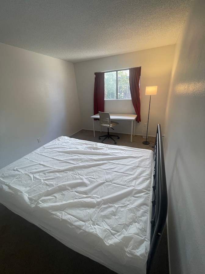 Robert's room