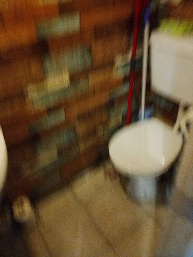 Synthiea Doolan's room