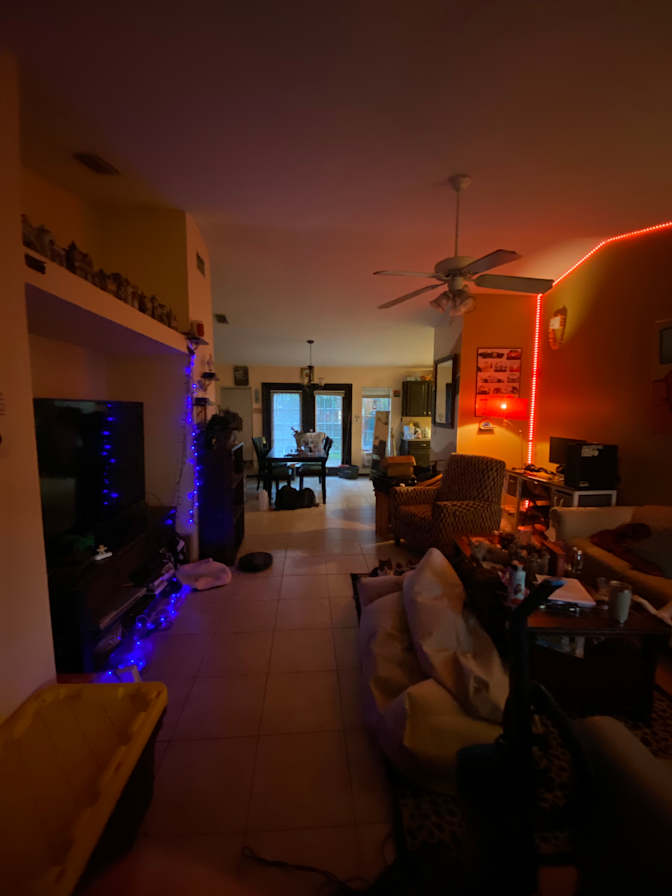 Basil's room