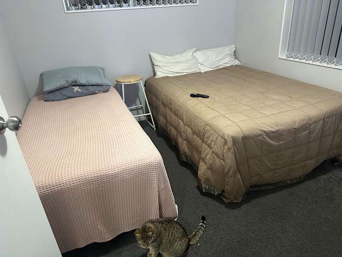 Steven's room