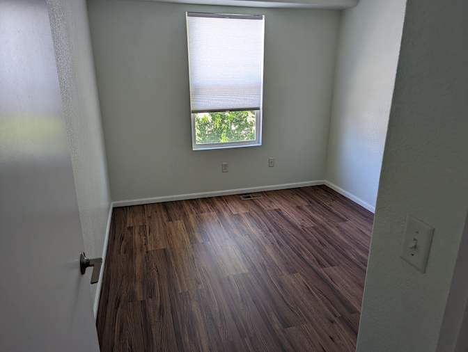 David Guan's room