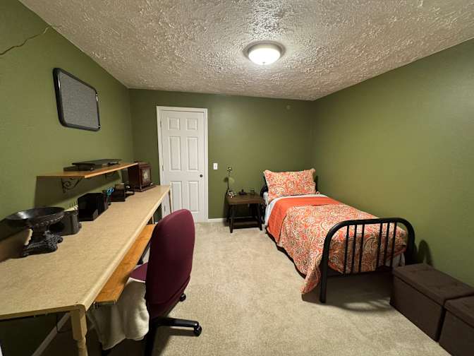 WFH professional's room