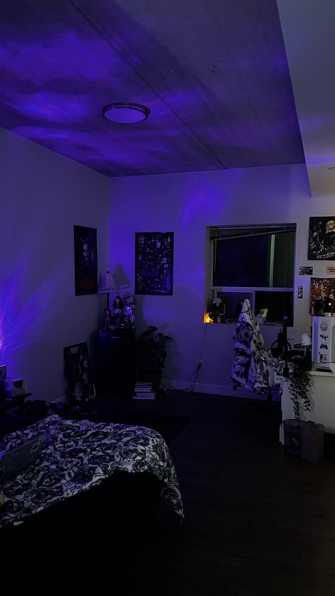 Mya Burrows's room
