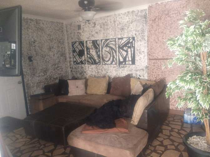 Chris's room