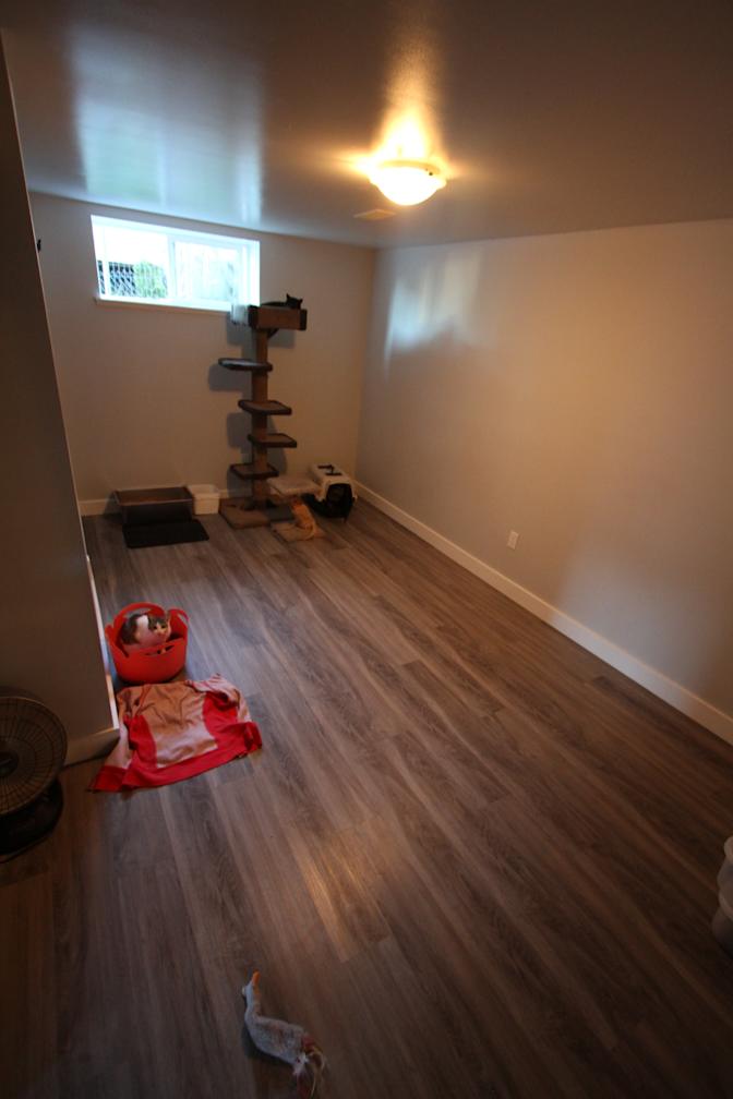 Lee's room