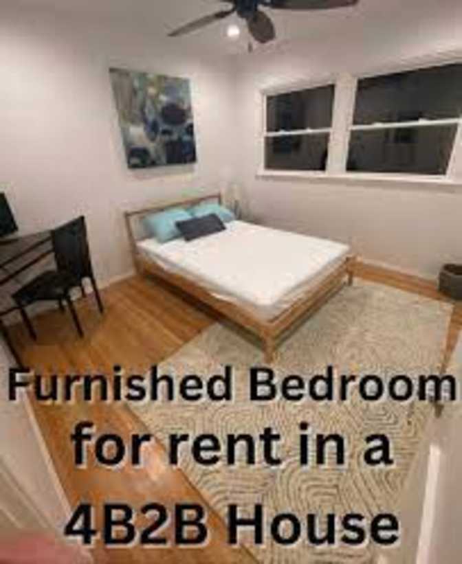 David's room