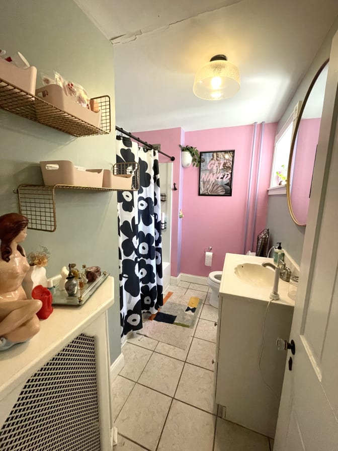 Cat's room