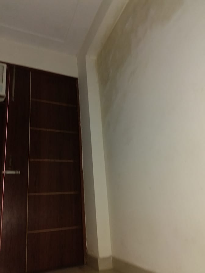 Faisal's room