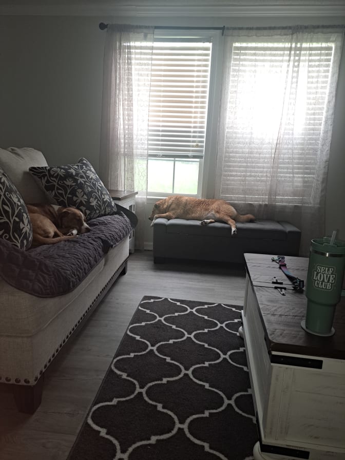 Sherry A.'s room