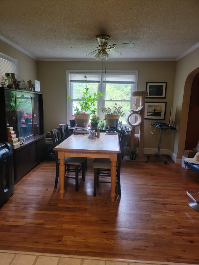 Annelie Klein's room