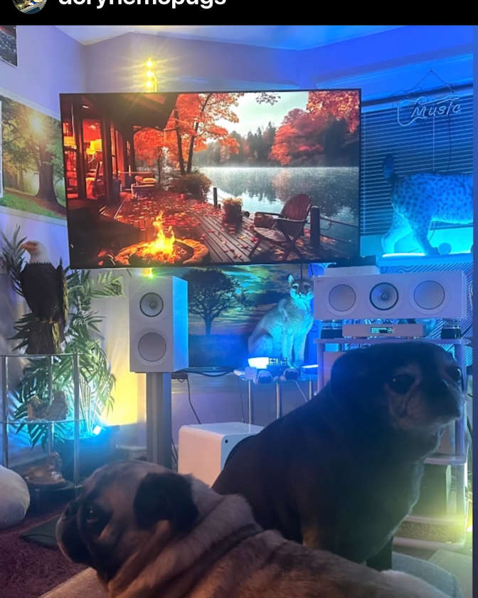Mark's room