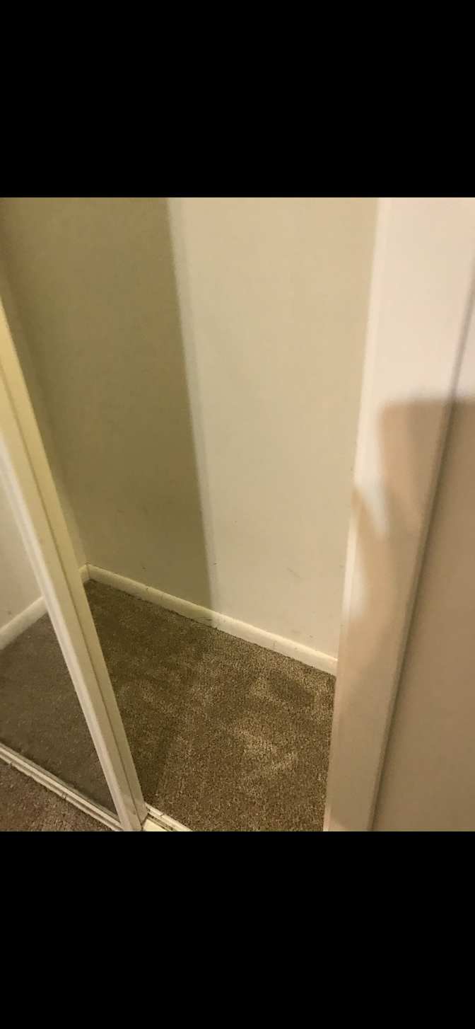 Annie's room